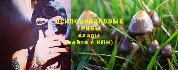 apvp Мегион